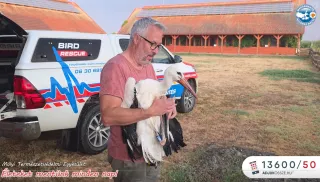  A legnehezebb pillanatok.... galéria kép 1 